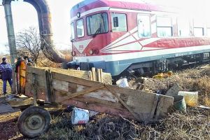 Căruţă spulberată de trenul Satu Mare – Bucureşti. Calul are picioarele rupte