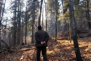 Pădurar ucis de hoţii de lemne pe care încerca să îi oprească să fure