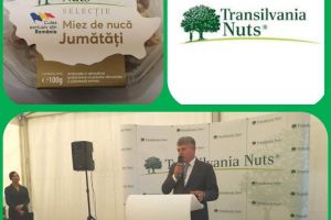 Comuna Ciugud îşi extinde zona de dezvoltare economică. Parcele noi de 15 h cu toate utilităţile, puse la dispoziţia investitorilor interesaţi