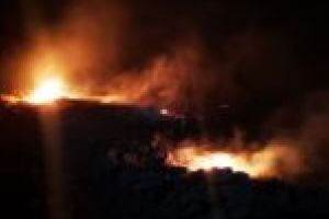 Incendiu de vegetaţie între localităţile Pojejena şi Radimna