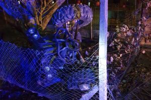 Sâniacob: Bărbat aflat pe un ATV şi-a pierdut viaţa într-un accident (FOTO)