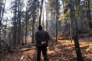 Încă un pădurar agresat la doar o zi după ce altul a fost ucis de hoţii de lemne