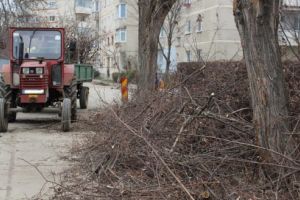 Târgu-Mureş: Programul ”Curăţeniei generale de toamnă”