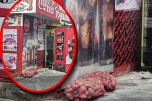 Alo, OPC si DSP! Cand inchidem si noi dughenele de fast-food de la Gara de Sud?