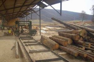 Persoană prinsă sub un utilaj, în Tăuţ, la un gater. Intervin pompierii din Alba Iulia