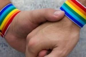 Legea CĂSĂTORIILOR dintre persoane de acelaşi sex, adoptată tacit de Senat