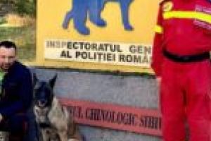 Vreni, câinele brevetat şi pentru salvările urbane