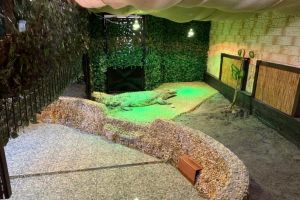 FOTO Doi locuitori noi la Zoo Sibiu: o vidră şi un crocodil de trei metri