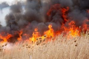 Sute de hectare de teren incendiate în Argeş