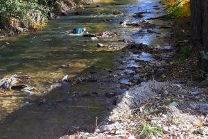 Albia Someşului Mare, groapa de gunoi a localnicilor din Rodna