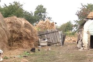 VIDEO O bunică din Botoşani îşi creşte singură cei doi nepoţi, de 11 ani. Femeia nu are niciun leu pensie