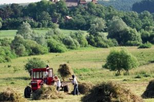 Proiect ADEPT Transilvania pentru restaurarea pajiştilor şi crearea de trasee tematice