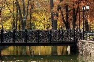 Fotografia zilei: Parcul “Regina Maria”-toamna ruginie