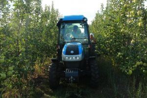 Accident într-o livadă din Dobârca – Femeie lovită de un tractor