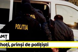 NEAMȚ: Doi hoţi, prinşi de poliţişti