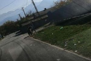 Ce spune bătrânul şi mama copiilor atacaţi de urs în Victoria