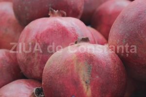 Rodiile, fructe minune pentru sanatatea noasta