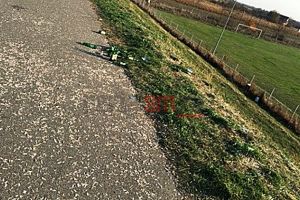 FOTO. „Covor” din coji de seminţe şi flacoane de bere după un meci de fotbal, la Satu Mare