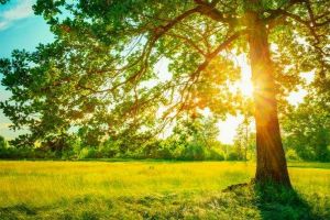 Cum va fi VREMEA până la mijlocul lunii NOIEMBRIE. Cât scad temperaturile şi în ce regiuni se anunţă ploi