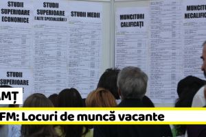 NEAMȚ: 1053 locuri de muncă vacante la data de 21 octombrie