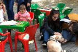 Toţi căţeii fără stăpân de la Târgul de adopţii şi-au găsit căsuţe