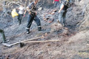 Incendiu puternic de vegetaţie uscată, la Poiana Micului