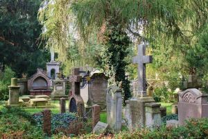 Paşii pe care trebuie să îi parcurgă comercianţii de Ziua Morţilor