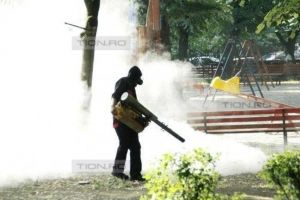 Reîncepe dezinsecţia şi deratizarea la Timişoara. Recomandările specialiştilor