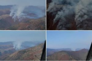 FOTO. INCENDIU de pădure, la Poşaga: Aproximativ 3 hectare afectate de flăcări