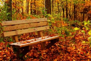 Cum va fi VREMEA până în 3 noiembrie 2019, în Transilvania şi la munte. ANM a publicat prognoza meteo pentru următoarele 2 săptămâni