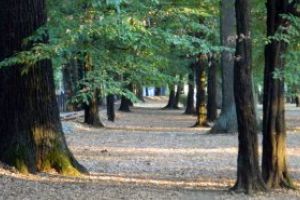 Meteo: Cum va fi vremea in Maramures in intervalul 21 octombrie – 3 noiembrie