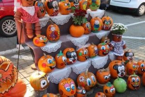 FOTO: Dovleacul, vedeta staţiunii Sovata!