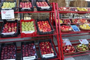 Târgul Mărului şi Festivalul Fanfarelor