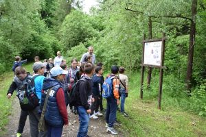 O nouă formă de învăţământ în Harghita. Școala din pădure!