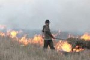 Amenzi usturătoare pentru cei care îşi bat joc de mediu! Cât riscă să plătească cei care incendiază resturile vegetale?