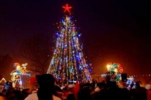 Sarbatorile de iarna bat la portile Oraselului Copiilor / 77 de pomi impodobiti se vor inalta semeti in Parcul Monument