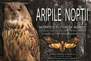 Păsări şi fluturi vă poartă pe aripile nopţii, la Muzeul Naţional al Banatului, după Halloween