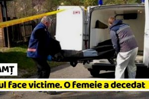 NEAMȚ: Vinul a făcut prima victimă în Neamţ. O femeie a decedat