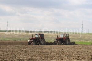 Cooperativa agricola infiintata la Pestera. Cine sunt fondatorii