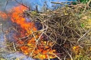 Apel pentru gestionarea corectă a deşeurilor de plante în perioada toamnei