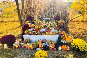 Toamnă bogată la Școala Gimnazială nr. 7 Viişoara (FOTO)