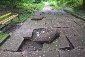 Acţiune de salubrizare în parcul Şipote, iniţiată de studenţi ai USV