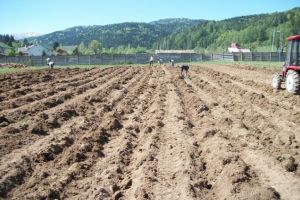 Aproape 5 milioane de euro au primit fermierii braşoveni subvenţii