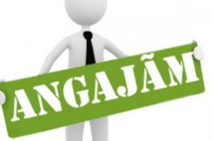 Anunt de angajare: Firma de constructii cu sediul langa Ploiesti, angajeaza DEVIZIER