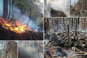 FOTO, VIDEO. Un avion MApN SPARTAN participă la localizarea şi lichidarea incendiului din zona Buceş-Vulcan