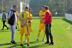 Niţescu şi Buturugă în atenţia lui Stoican