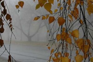 PROGNOZA METEO. Vremea întoarce foaia: se răceşte accentuat. Ce temperaturi vor fi în weekend