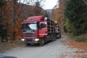 Autocamion cu lemne oprit de jandarmi! A ajuns gol la destinaţie