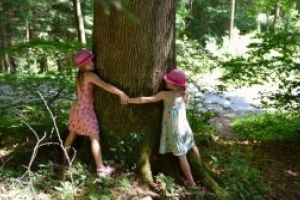 Acţiune de protest „Îmbrăţişează un copac” pentru stoparea construirii parcului de agrement la Şugaş Băi