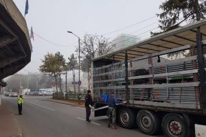 În cursul zilei de ieri a început montajul nocturnei mobile pe stadionul Areni